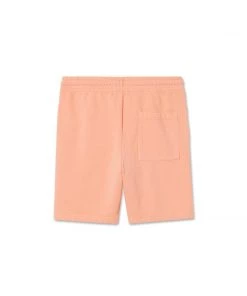 MASSIVE Shorts MENS EVERYDAY SWEAT SHORT - SEDONA